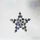 Star - Brooch Corvus - 1